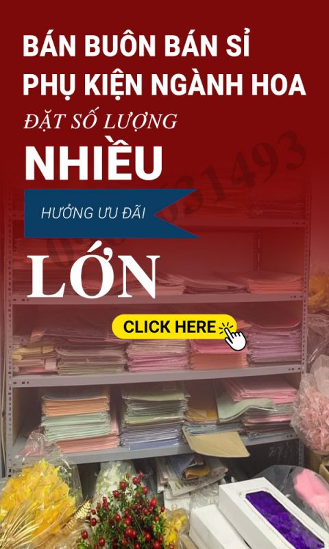 Phụ kiện Hoa Hà Anh