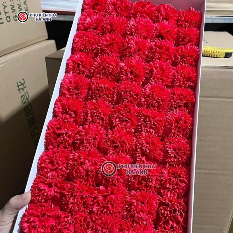 Phụ kiện Hoa Hà Anh