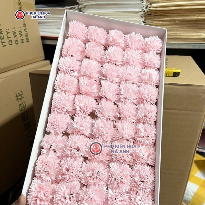 Phụ kiện Hoa Hà Anh