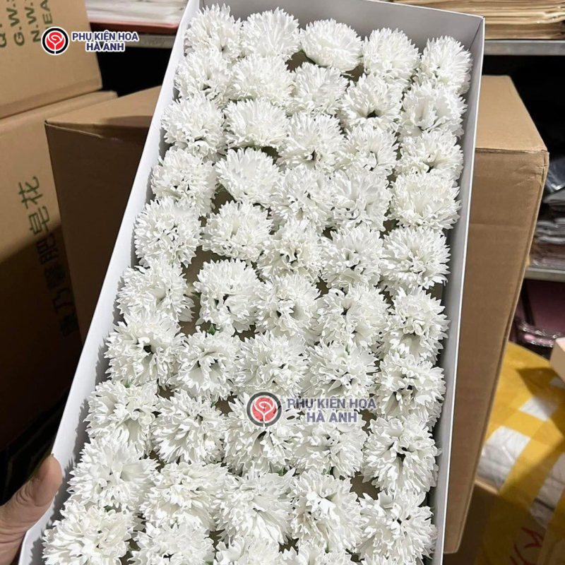 Phụ kiện Hoa Hà Anh