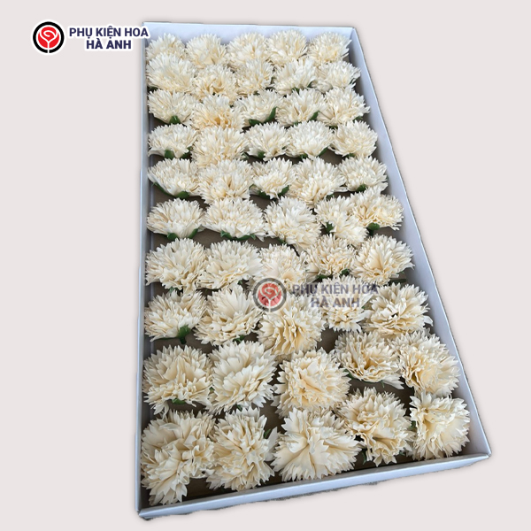 Phụ kiện Hoa Hà Anh