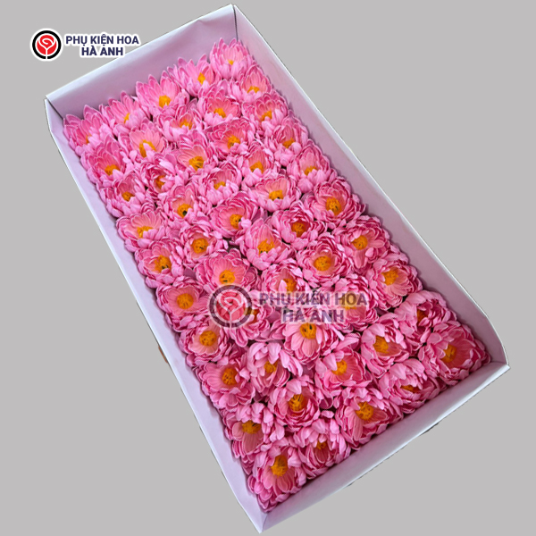 Phụ kiện Hoa Hà Anh
