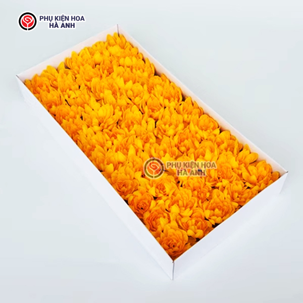 Phụ kiện Hoa Hà Anh