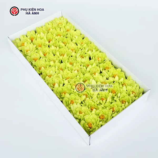 Phụ kiện Hoa Hà Anh