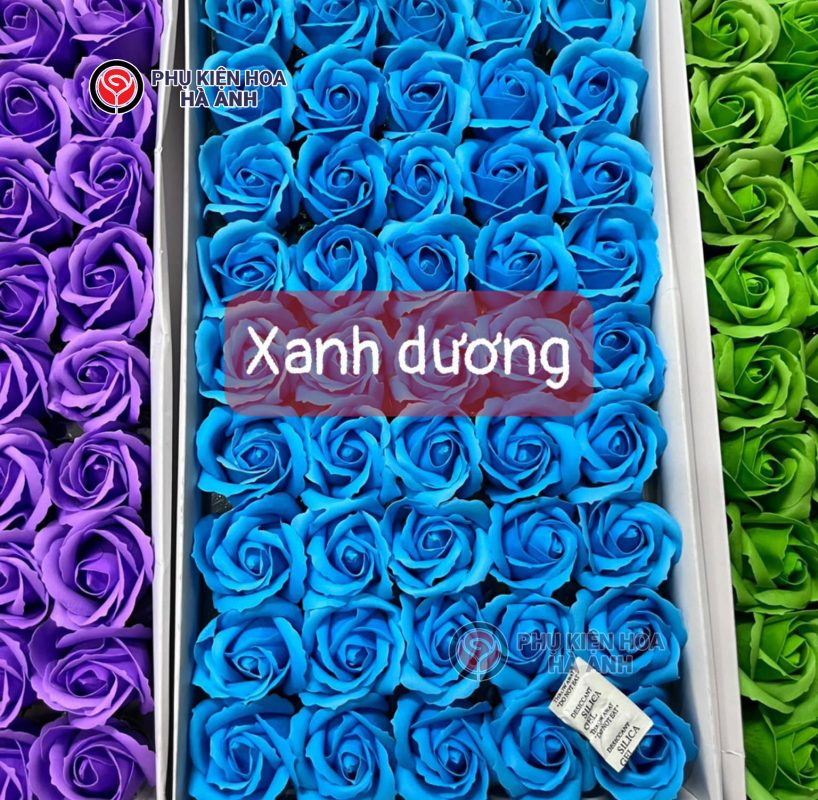 Phụ kiện Hoa Hà Anh