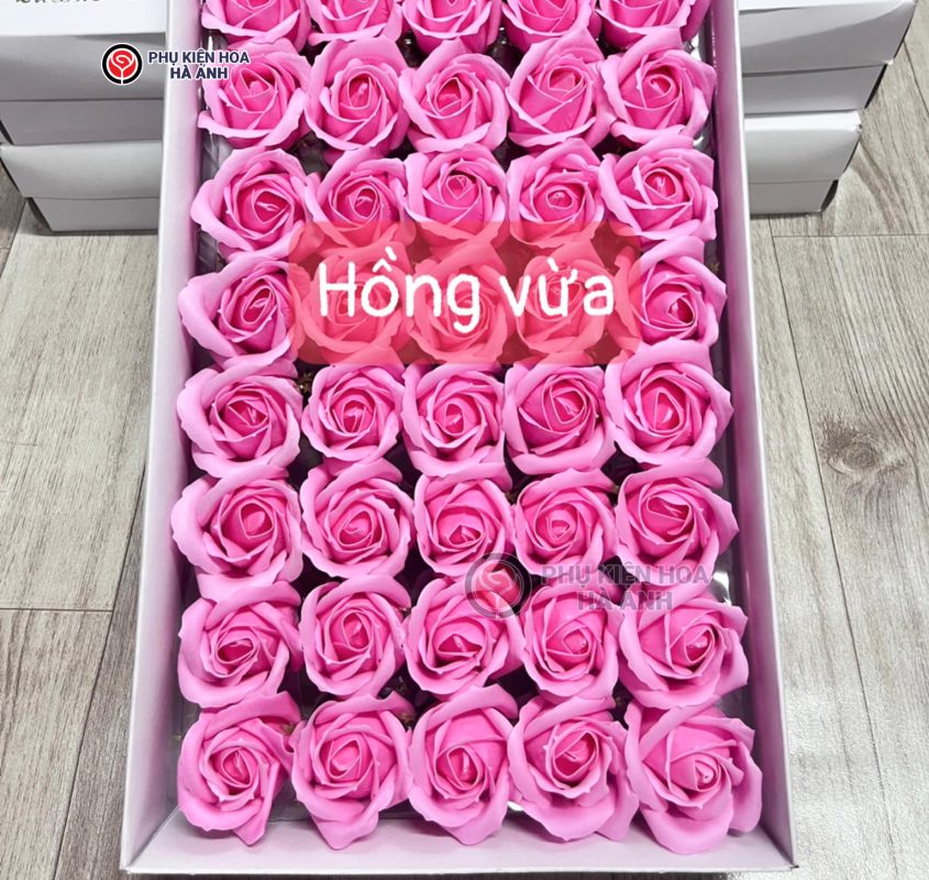 Phụ kiện Hoa Hà Anh
