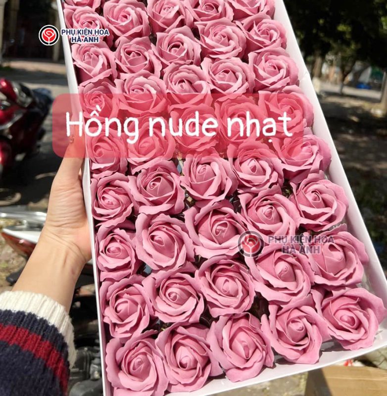 Phụ kiện Hoa Hà Anh