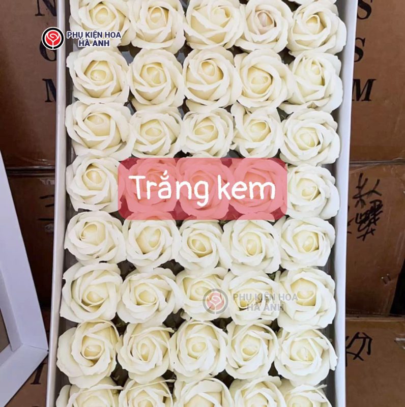 Phụ kiện Hoa Hà Anh