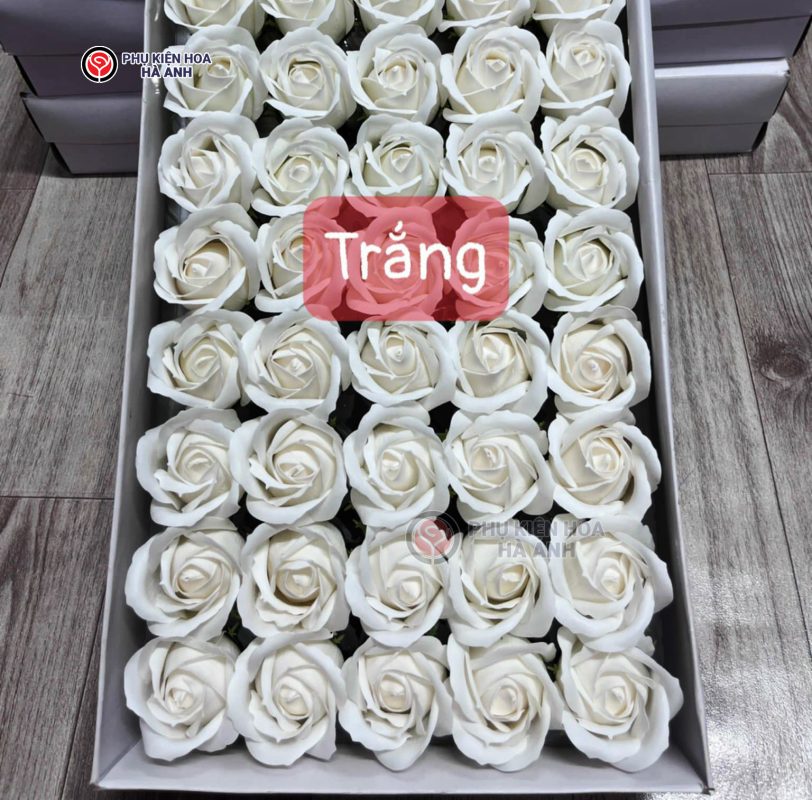 Phụ kiện Hoa Hà Anh