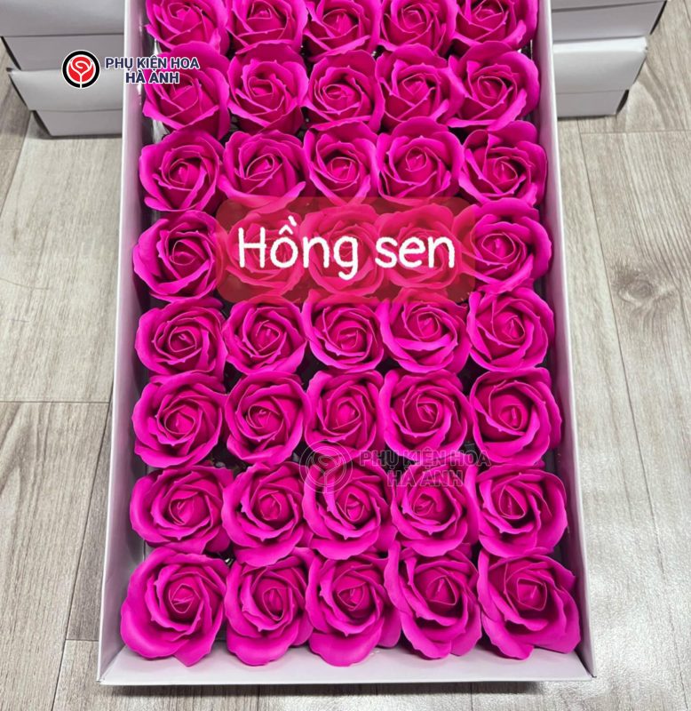 Phụ kiện Hoa Hà Anh
