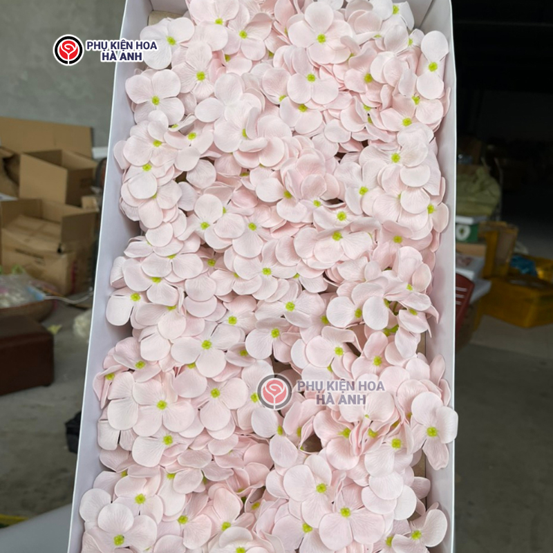 Phụ kiện Hoa Hà Anh