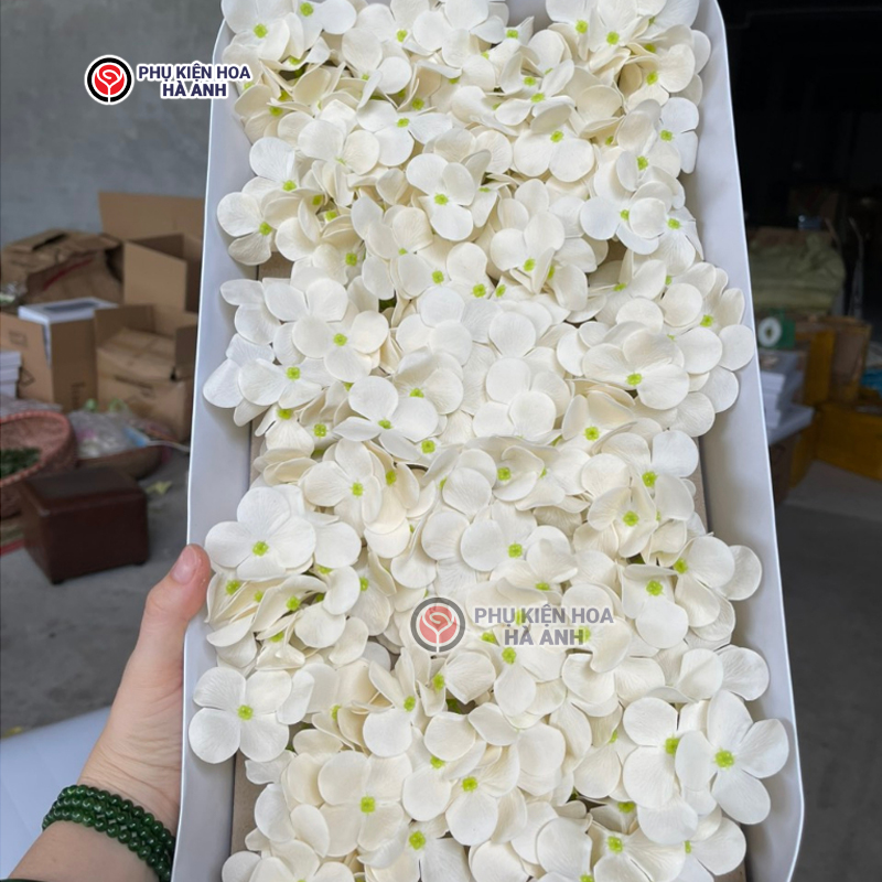 Phụ kiện Hoa Hà Anh