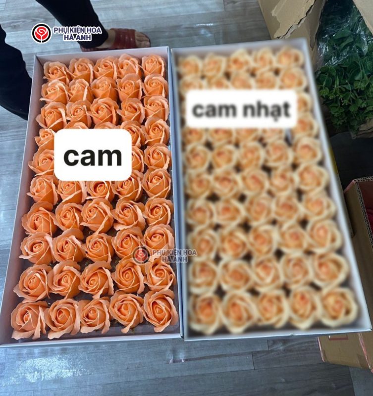Phụ kiện Hoa Hà Anh