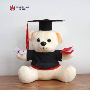 gấu bông tốt nghiệp